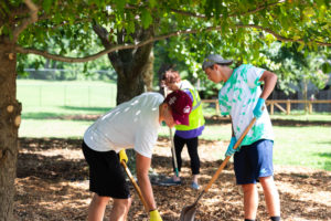 Mary Washington freshmen team up with Tree Fredericksburg to mulch trees as part of the CCE’s Day of Service. Photo by Matthew Binamira Sanders.