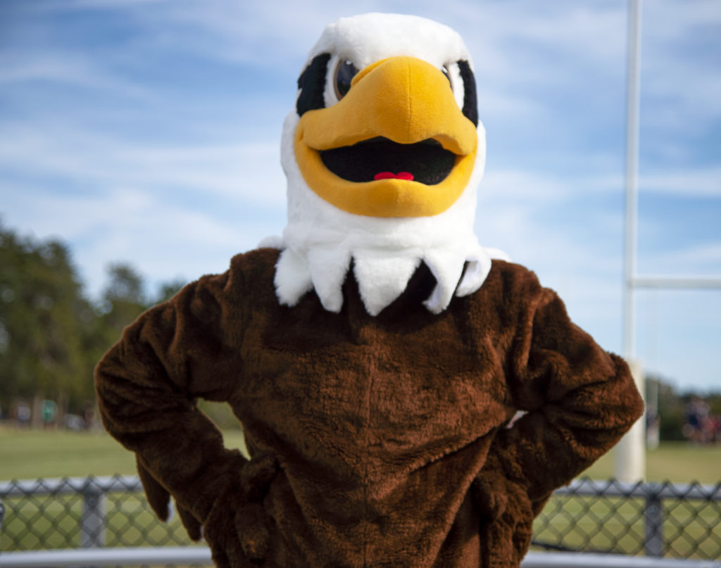 Homecoming Recap and Sammy D. Eagle's Reveal - EagleEye