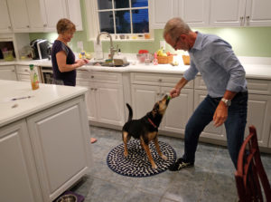 Kelly and Troy Paino in their kitchen at Brompton with dog Oscar. Kelly said no one makes her laugh like Troy does. Photo by Norm Shafer.