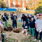 Thanks to the Friends of the Rappahannock Trees for Schools grant program, the UMW Landscape and Grounds department paired up with student volunteers through COAR to plant 27 trees on campus on Wednesday, Nov. 13. Photo courtesy of Director of Landscape and Grounds Holly Chichester-Morby.