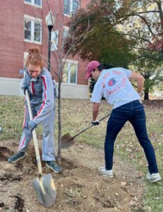 Thanks to the Friends of the Rappahannock Trees for Schools grant program, the UMW Landscape and Grounds department paired up with student volunteers through COAR to plant 27 trees on campus on Wednesday, Nov. 13. Photo courtesy of Director of Landscape and Grounds Holly Chichester-Morby.