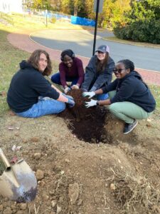 Thanks to the Friends of the Rappahannock Trees for Schools grant program, the UMW Landscape and Grounds department paired up with student volunteers through COAR to plant 27 trees on campus on Wednesday, Nov. 13. Photo courtesy of Director of Landscape and Grounds Holly Chichester-Morby.