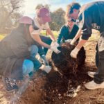 Thanks to the Friends of the Rappahannock Trees for Schools grant program, the UMW Landscape and Grounds department paired up with student volunteers through COAR to plant 27 trees on campus on Wednesday, Nov. 13. Photo courtesy of Director of Landscape and Grounds Holly Chichester-Morby.