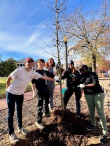 Thanks to the Friends of the Rappahannock Trees for Schools grant program, the UMW Landscape and Grounds department paired up with student volunteers through COAR to plant 27 trees on campus on Wednesday, Nov. 13. Photo courtesy of Director of Landscape and Grounds Holly Chichester-Morby.