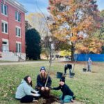 Thanks to the Friends of the Rappahannock Trees for Schools grant program, the UMW Landscape and Grounds department paired up with student volunteers through COAR to plant 27 trees on campus on Wednesday, Nov. 13. Photo courtesy of Director of Landscape and Grounds Holly Chichester-Morby.