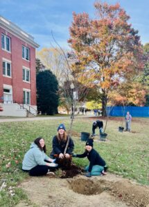 Thanks to the Friends of the Rappahannock Trees for Schools grant program, the UMW Landscape and Grounds department paired up with student volunteers through COAR to plant 27 trees on campus on Wednesday, Nov. 13. Photo courtesy of Director of Landscape and Grounds Holly Chichester-Morby.