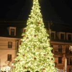 Fredericksburg Holiday Open House Weekend
