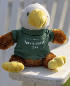 Photo of a stuffed animal eagle with a devil-goat day tshirt on