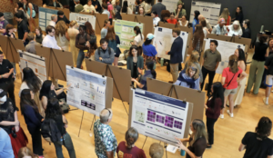 An auditorium full of students displaying posters to attendees 
