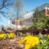 flowers in front of a UMW academic building