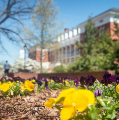 flowers in front of a UMW academic building