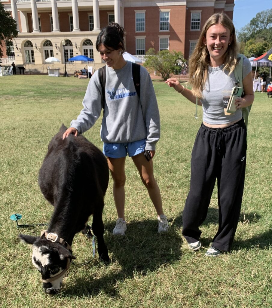 one girl petting a goat while another girl watches